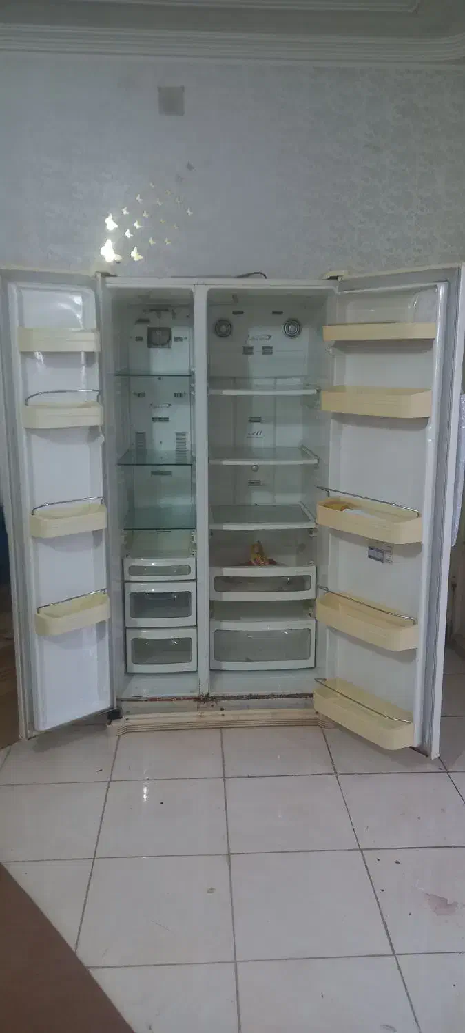 یخچال دوقلو بادی|یخچال و فریزر|اهواز, کوی مهدیس|دیوار