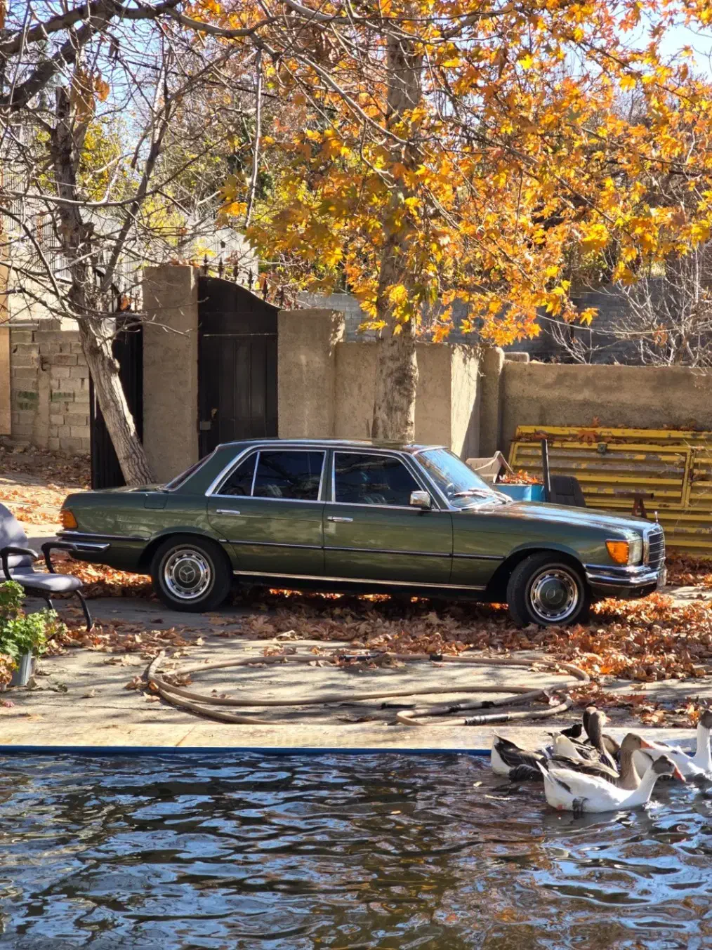 W116 1973|خودرو کلاسیک|کرج, کمال‌شهر|دیوار