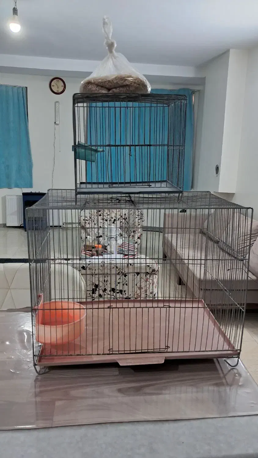 قفس پرنده|لوازم جانبی حیوانات|محمدشهر, ولدآباد|دیوار