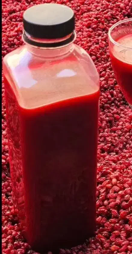 زرشک درجه یک امسالی وآب زرشک|خوردنی و آشامیدنی|نیشابور, شهرک فیروزه|دیوار