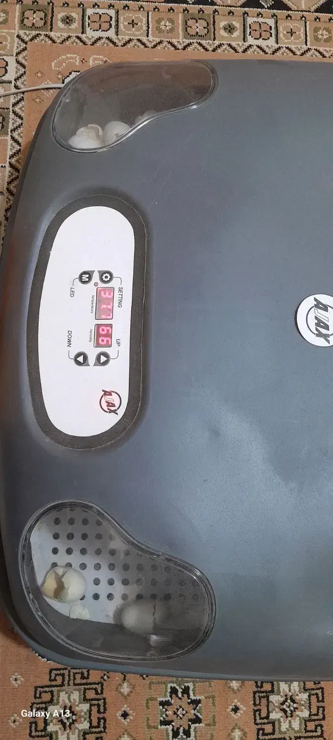 دستگاه جوجه کشی|لوازم جانبی حیوانات|قم, چهل درخت|دیوار