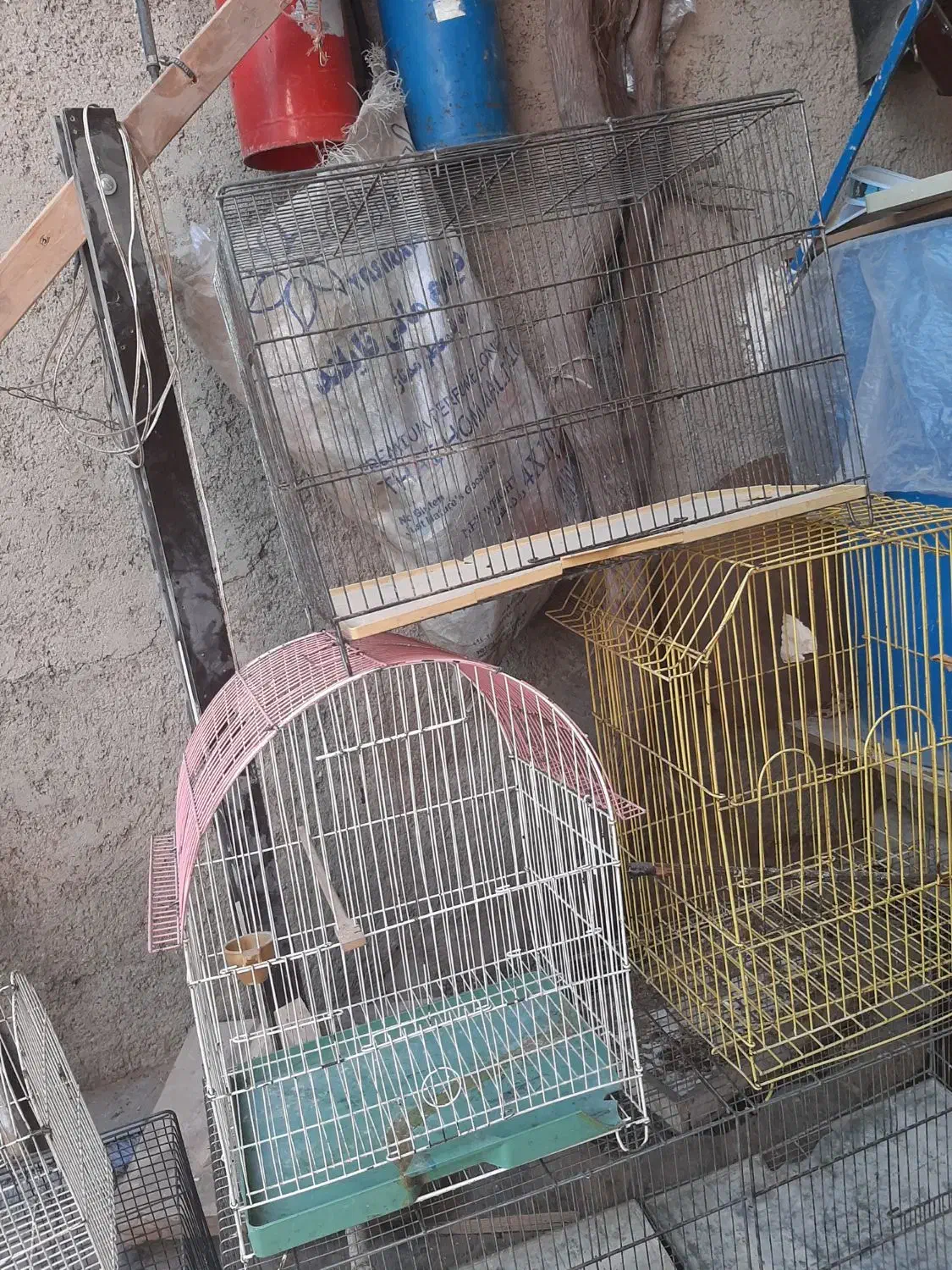 قفس پرنده|لوازم جانبی حیوانات|فردوسیه, |دیوار