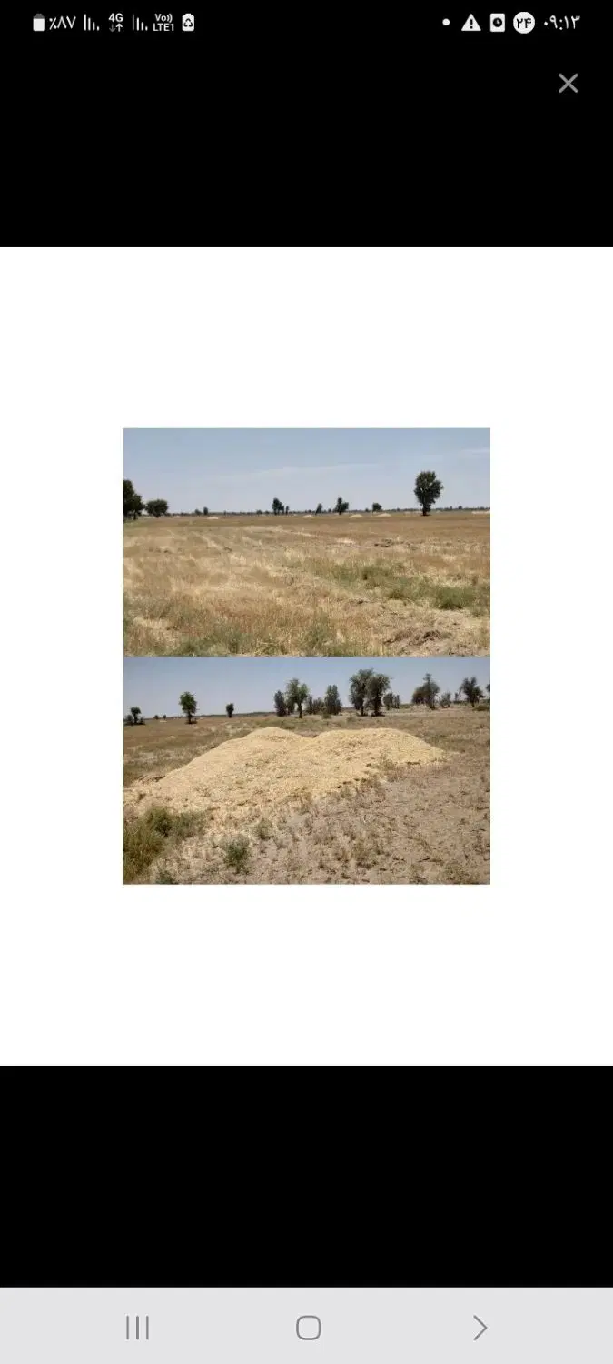 کاه|لوازم جانبی حیوانات|زاهدان, |دیوار