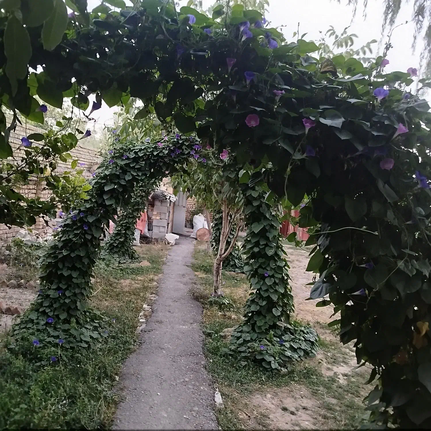 خانه اجاره ایی|اجارهٔ خانه و ویلا|الیگودرز, |دیوار