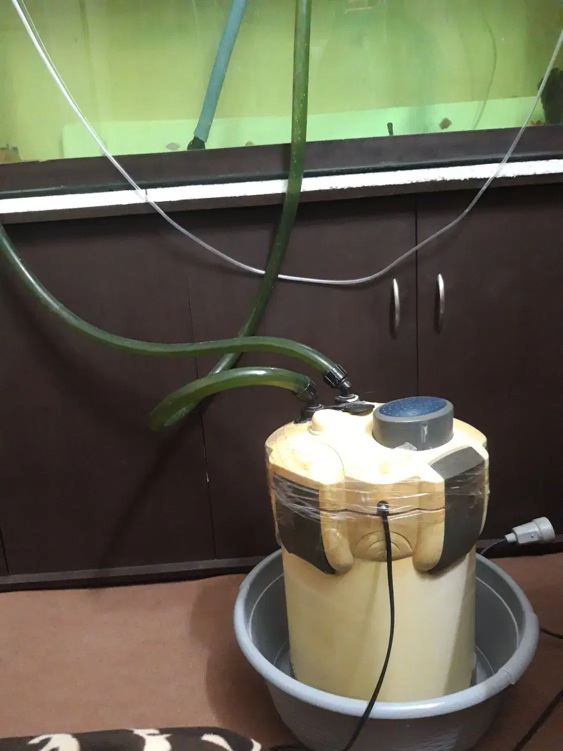 آکواریوم بزرگ ماهیران به همراه میز|ماهی|اصفهان, باغ کاران|دیوار