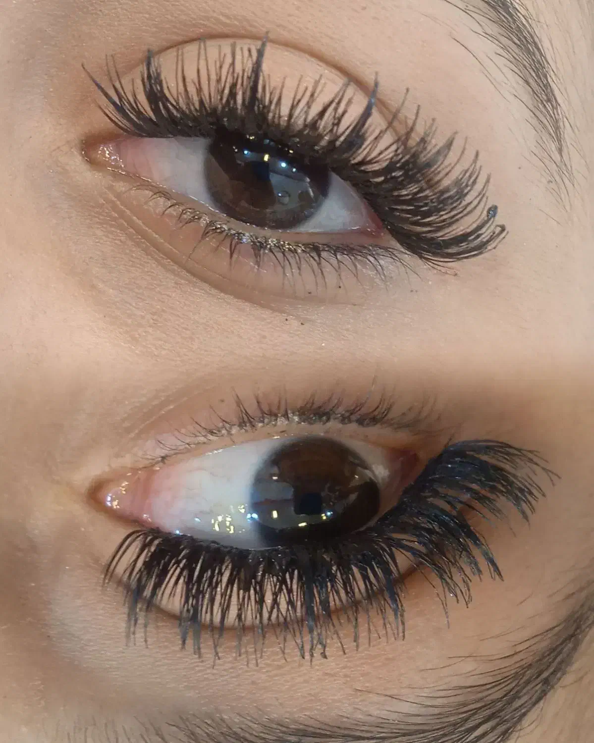 کاشت مژه هیدن|خدمات آرایشگری و زیبایی|زابل, |دیوار