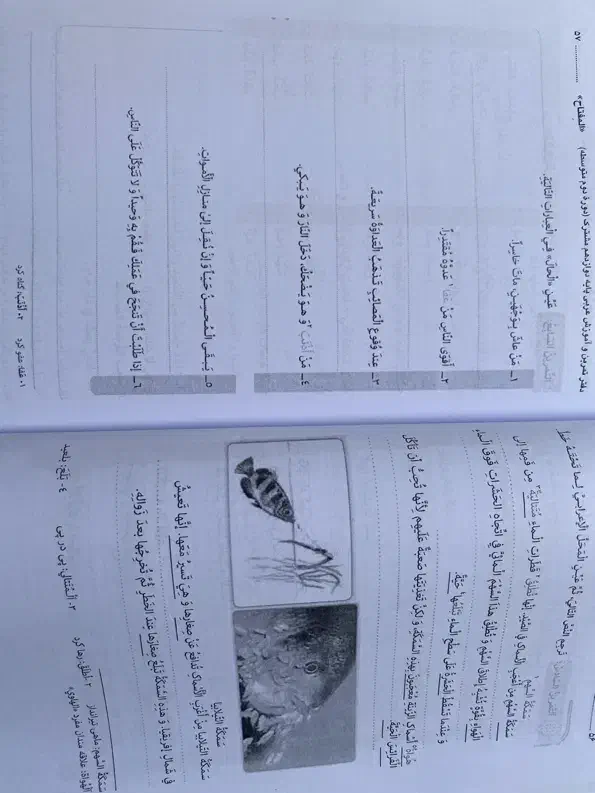 آموزش عربی نو|کتاب و مجله آموزشی|رشت, معلم|دیوار