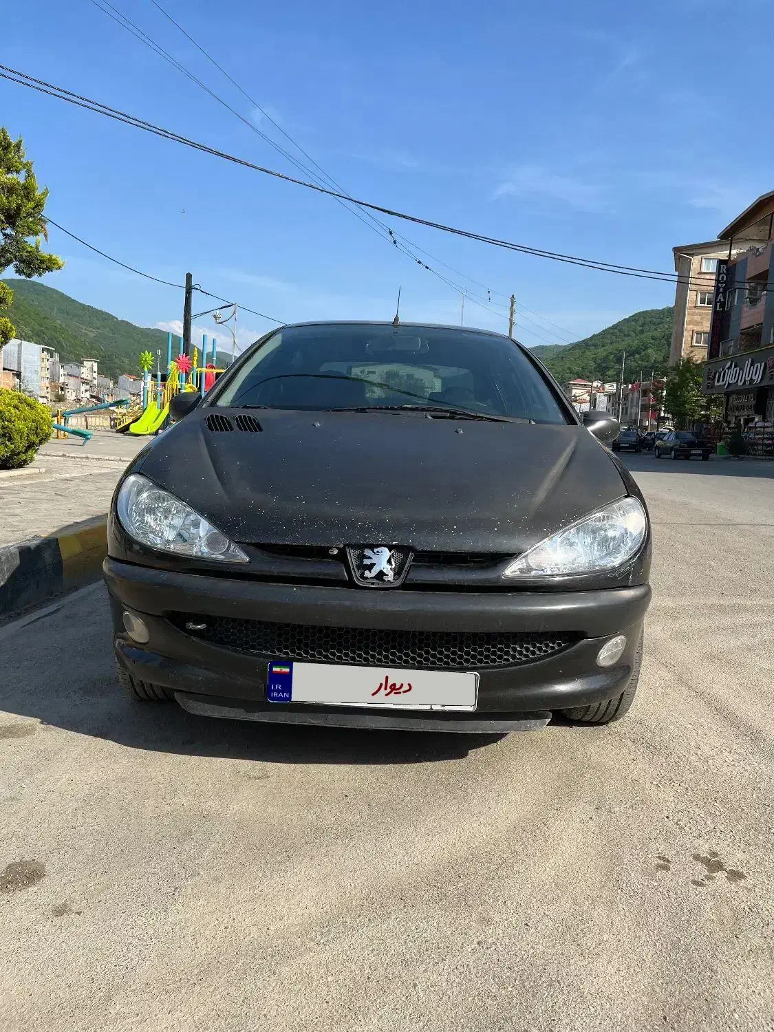 206 SD v8|خودرو سواری و وانت|زیرآب, |دیوار