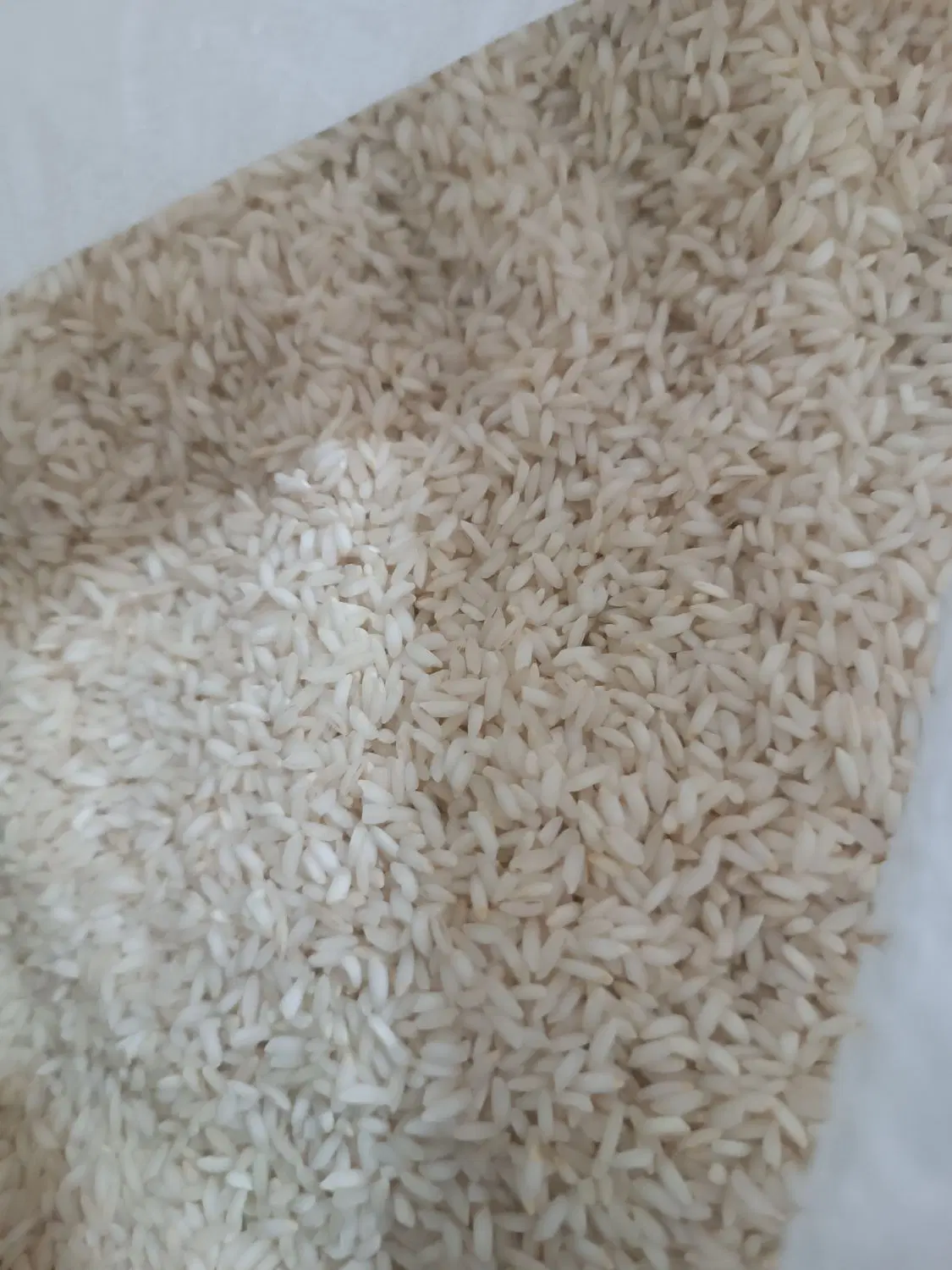 برنج دورود|خوردنی و آشامیدنی|تهران, شهید بهشتی|دیوار