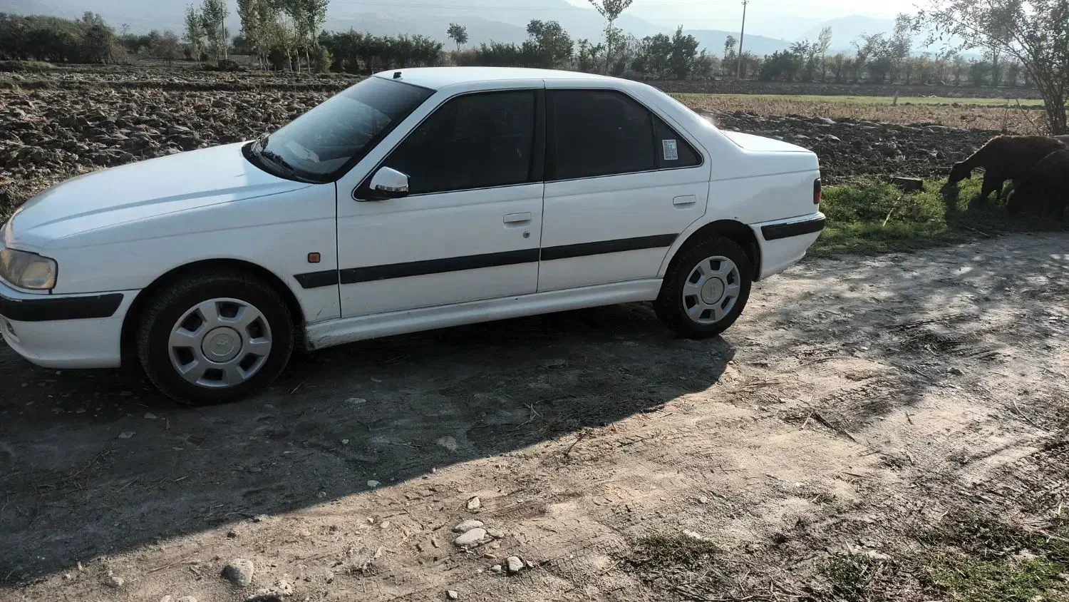 پژوپارس|خودرو سواری و وانت|کردکوی, |دیوار