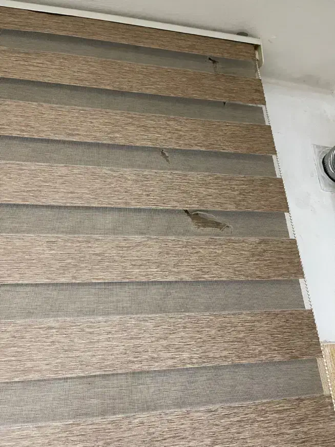 پرده زبرا|پرده، رانر، رومیزی|رباطکریم, رباطکریم|دیوار