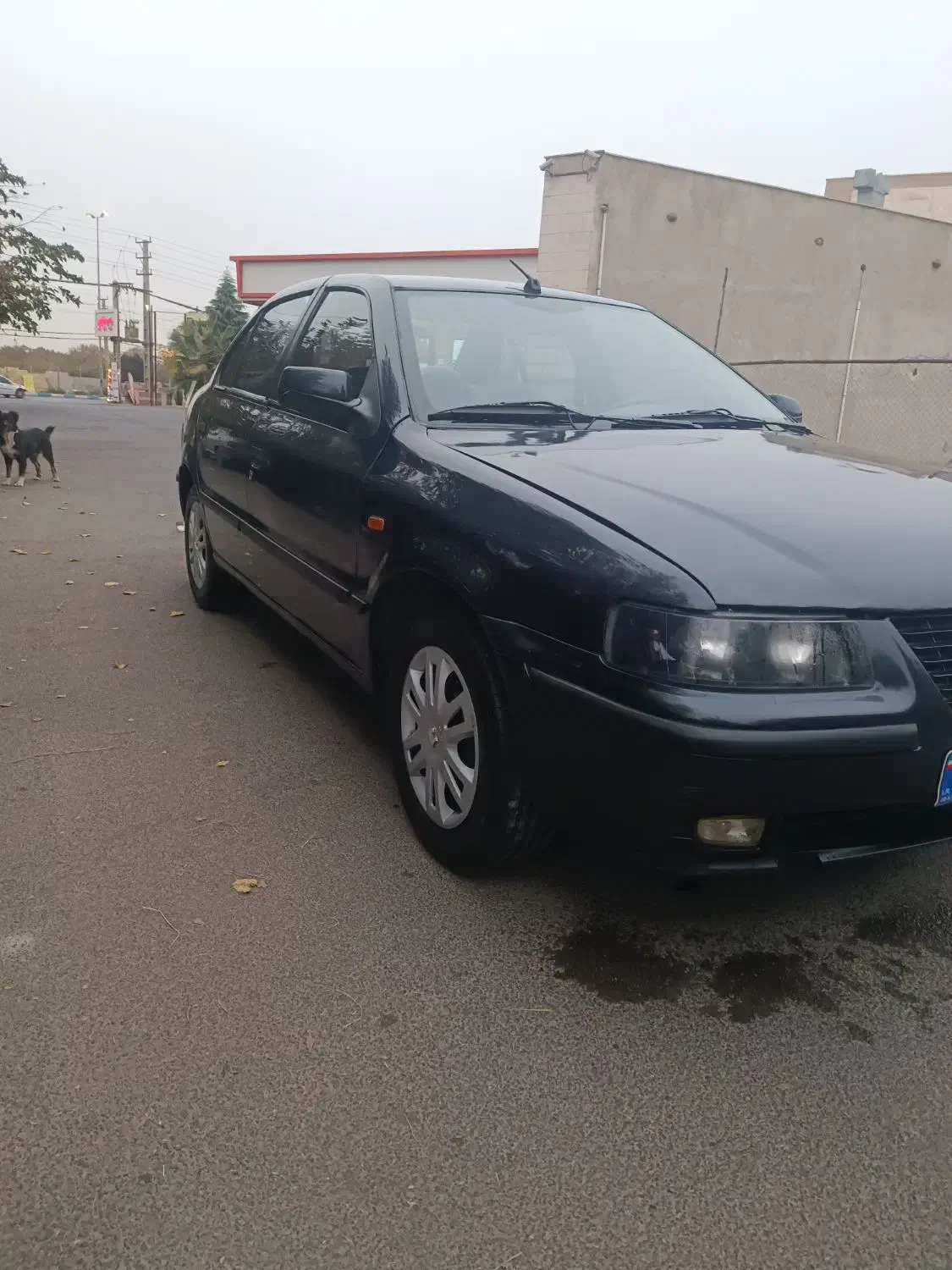 سمند EF7مدل91 ملتی پلکس|خودرو سواری و وانت|شهریار, شهریار|دیوار