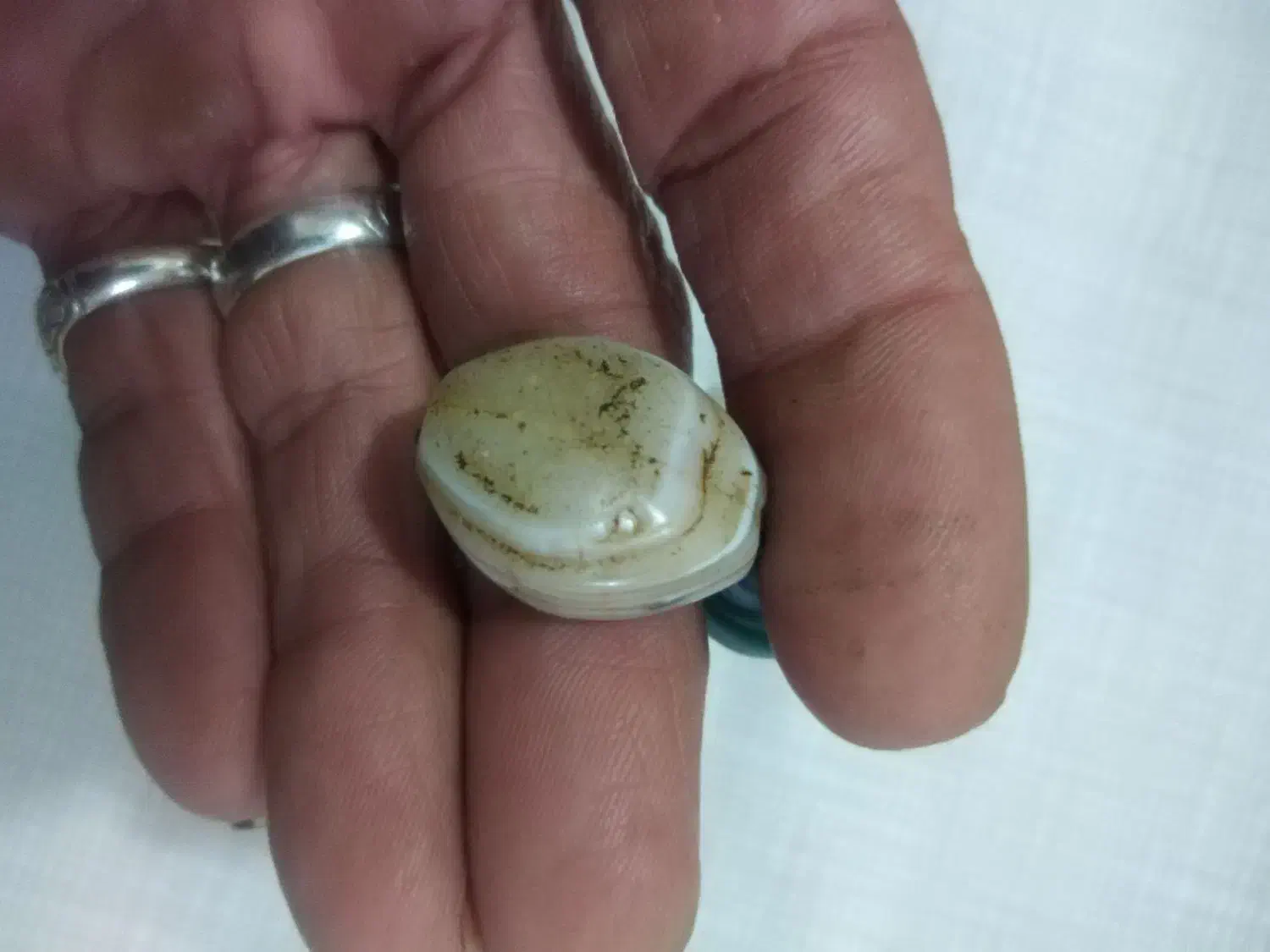 هنر باستانی|کلکسیون اشیاء عتیقه|بجنورد, |دیوار