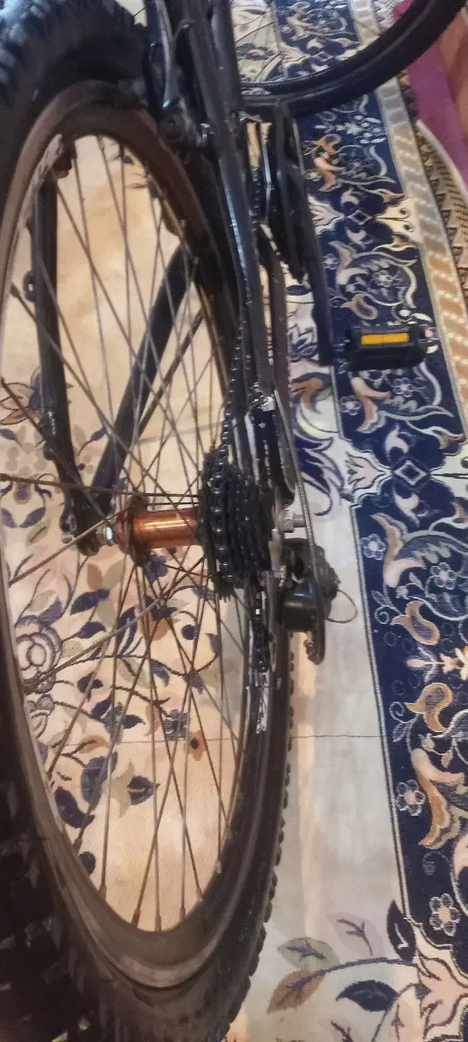 دوچرخه26 ویوا|دوچرخه، اسکیت، اسکوتر|اهواز, عین ۲|دیوار