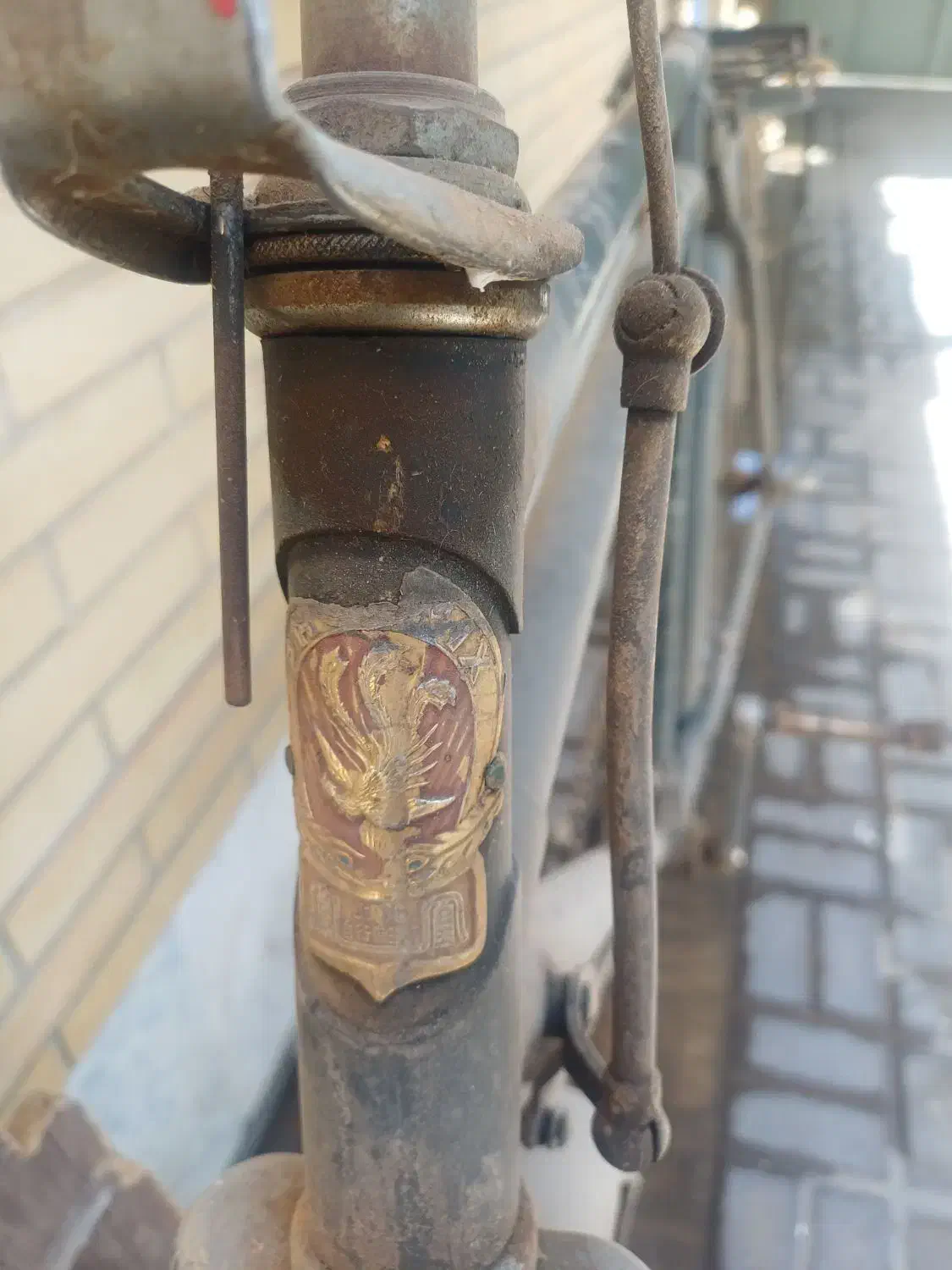 دوچرخه|دوچرخه، اسکیت، اسکوتر|حمیدیا, |دیوار