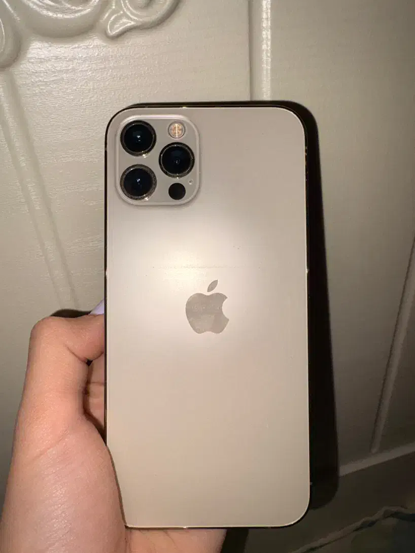 آیفون ۱۲ پرو گلد ۲۵۶ گیگ|موبایل|تهران, پاسداران|دیوار