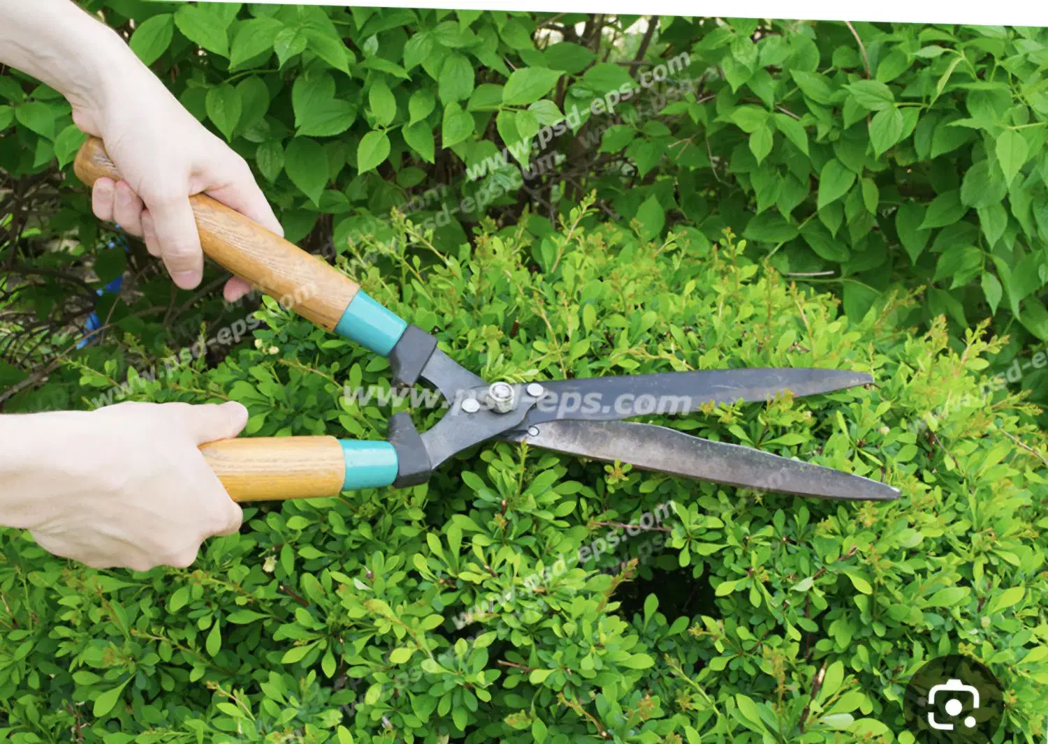 نظافت ساختمان کلی باغبانی با بهترین کیفیت|خدمات نظافت|درگهان, |دیوار