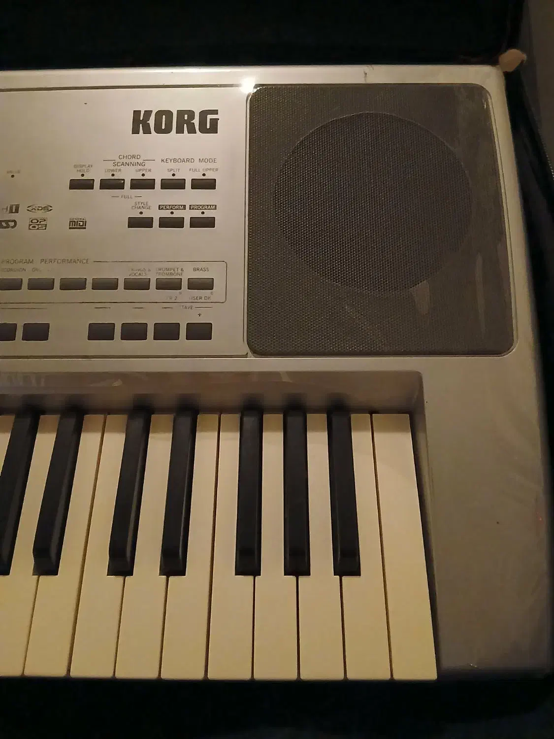 ارگ pa50 دوازده یوزره|پیانو، کیبورد، آکاردئون|تبریز, |دیوار