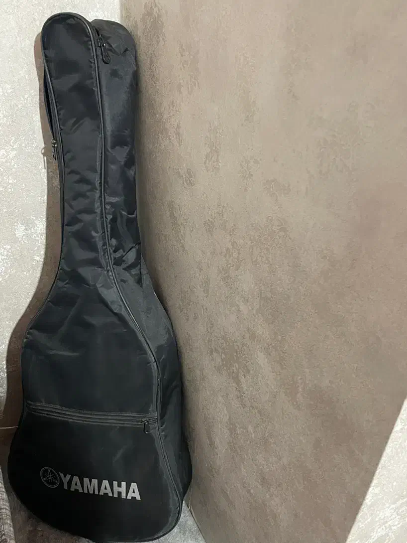 گیتار دیاموند صورتی|گیتار، بیس، امپلیفایر|بجنورد, |دیوار