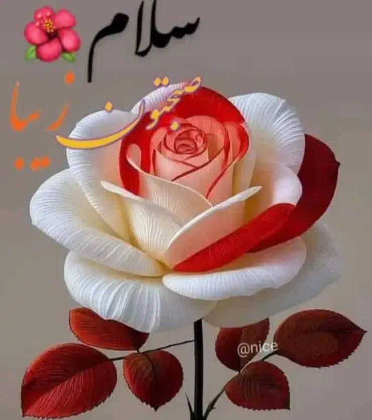 نیاز به سرمایه|خدمات مالی، حسابداری، بیمه|یزد, |دیوار