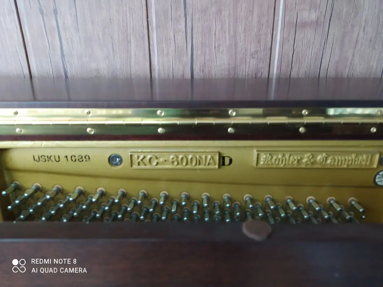 پیانو|پیانو، کیبورد، آکاردئون|شیراز, باغ تخت|دیوار