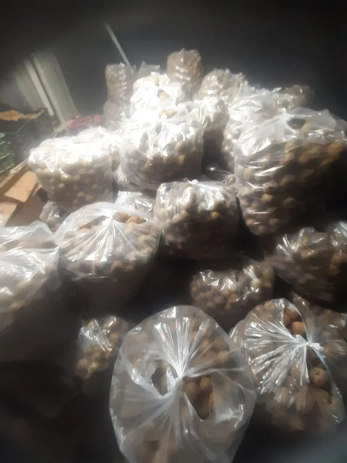 تامینوفروشکیویریز|خدمات باغبانی و درختکاری|لیسار, |دیوار