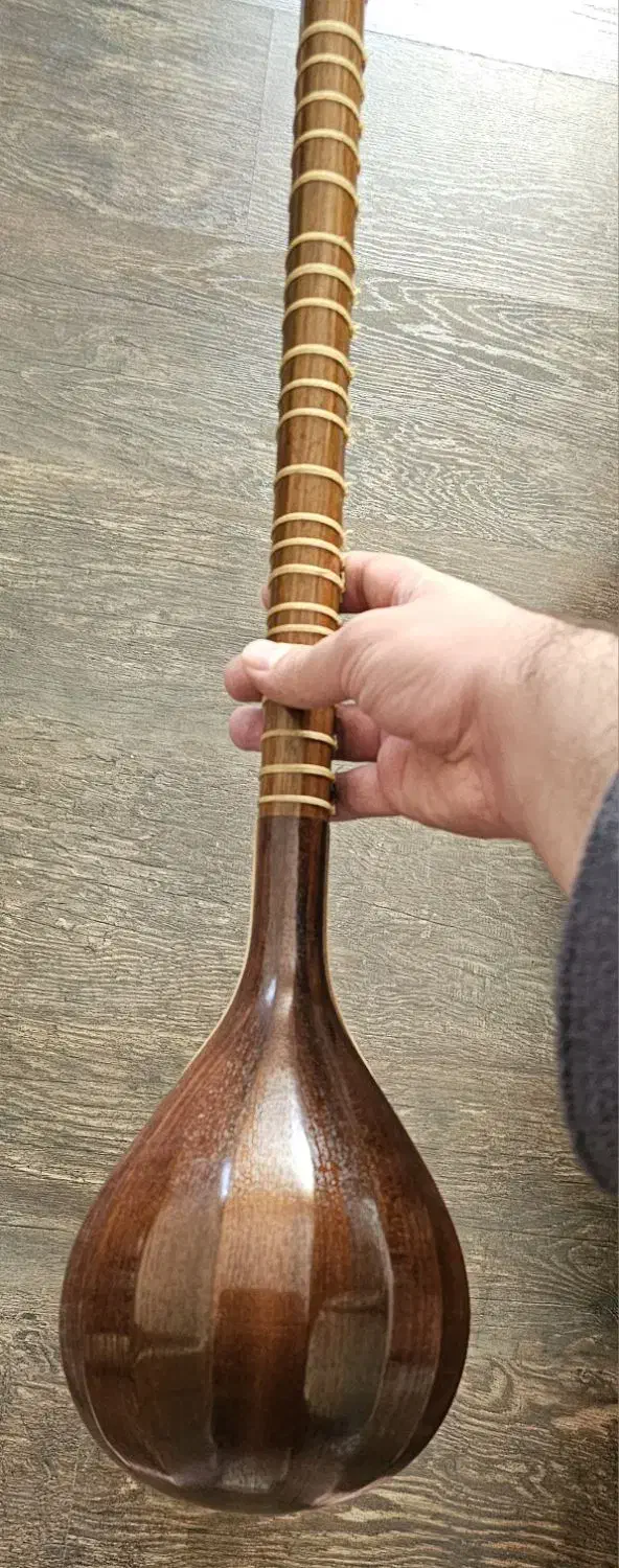 سه تار حرفه ای|سازهای سنتی|همدان, |دیوار