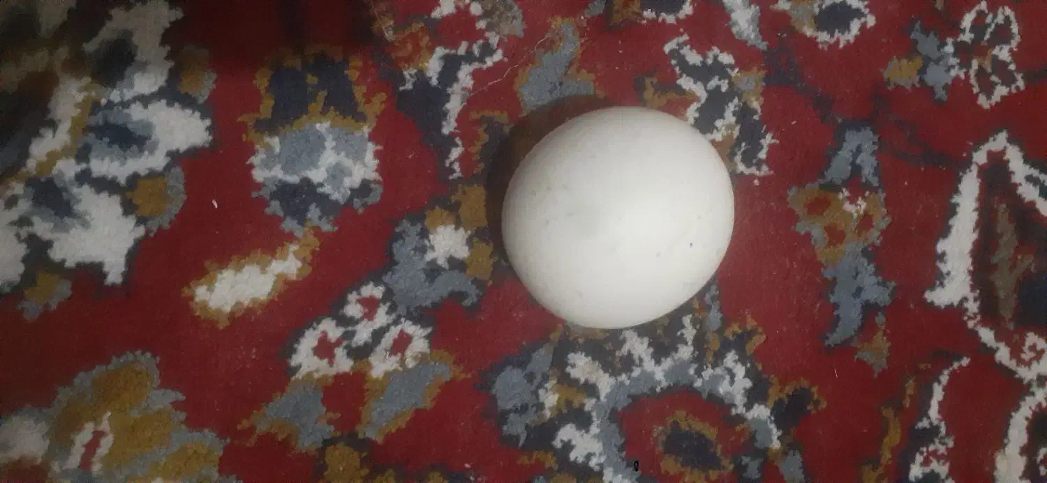 سنگ الماس اسیاب|جواهرات|تاکستان, |دیوار