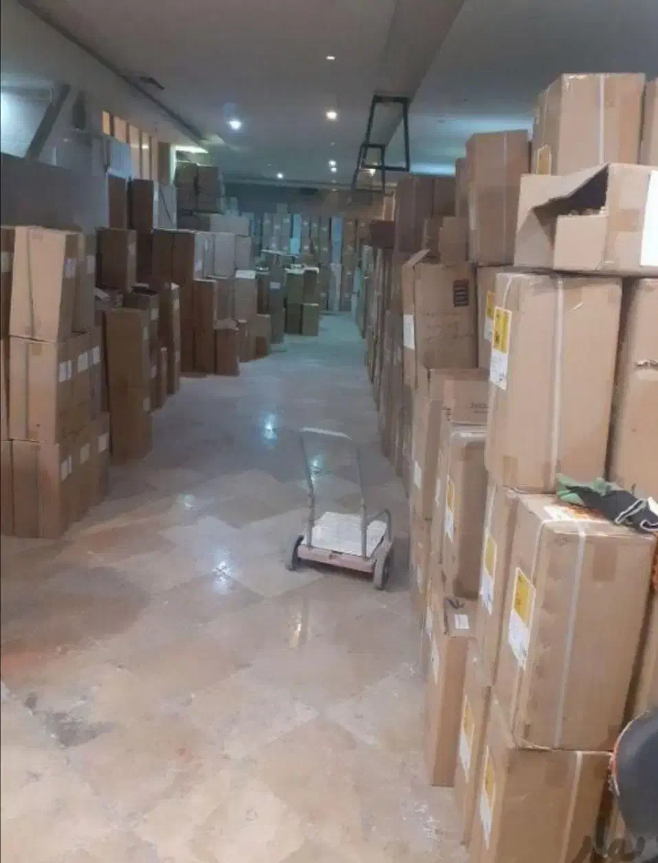 کاغذدیواری الان بزن عید تسویه کن|خدمات پیشه و مهارت|گرگان, |دیوار