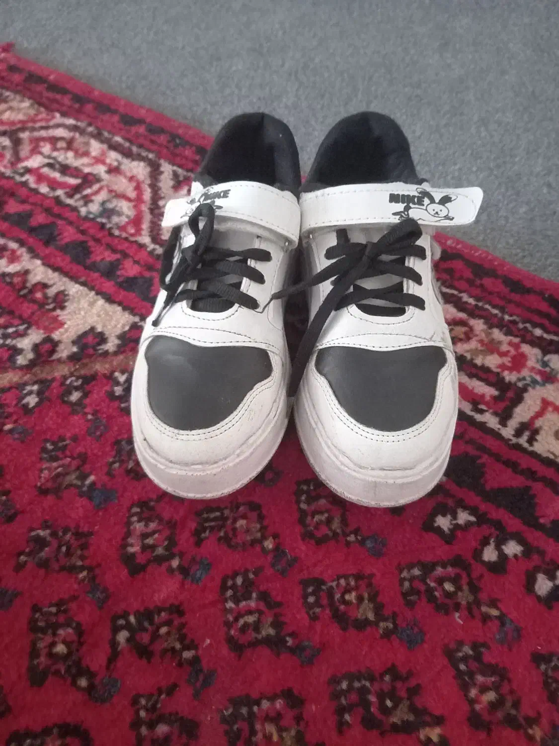 کتونی|کیف، کفش، کمربند|بروجرد, |دیوار