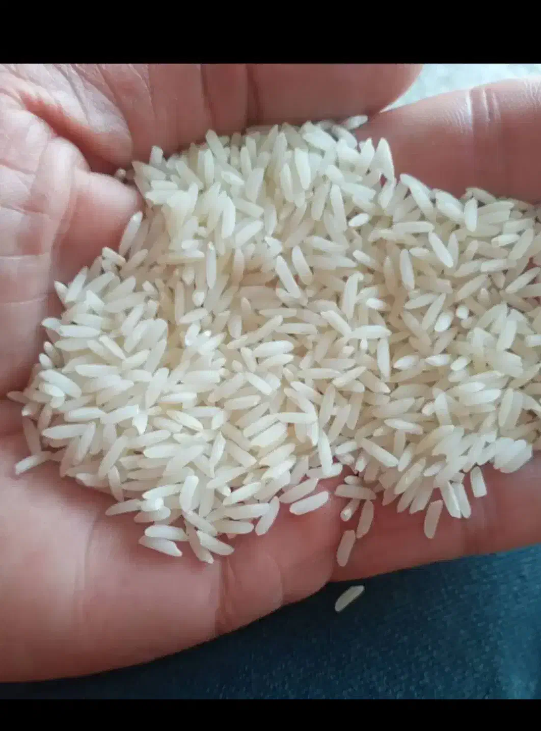 برنج هاشمی درجه یک مستقیم از کشاورز|خوردنی و آشامیدنی|تهران, زنجان جنوبی|دیوار