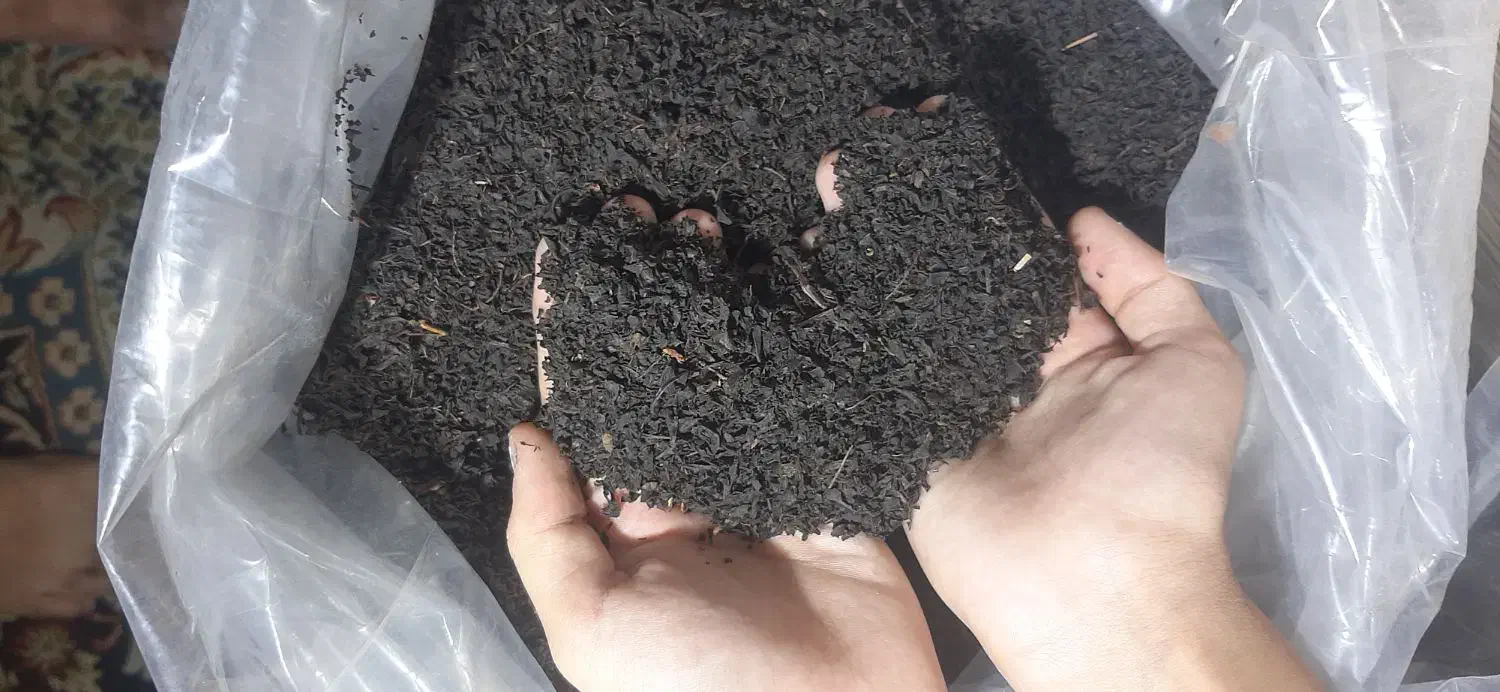 چای ممتاز بهاره|خوردنی و آشامیدنی|بهشهر, |دیوار