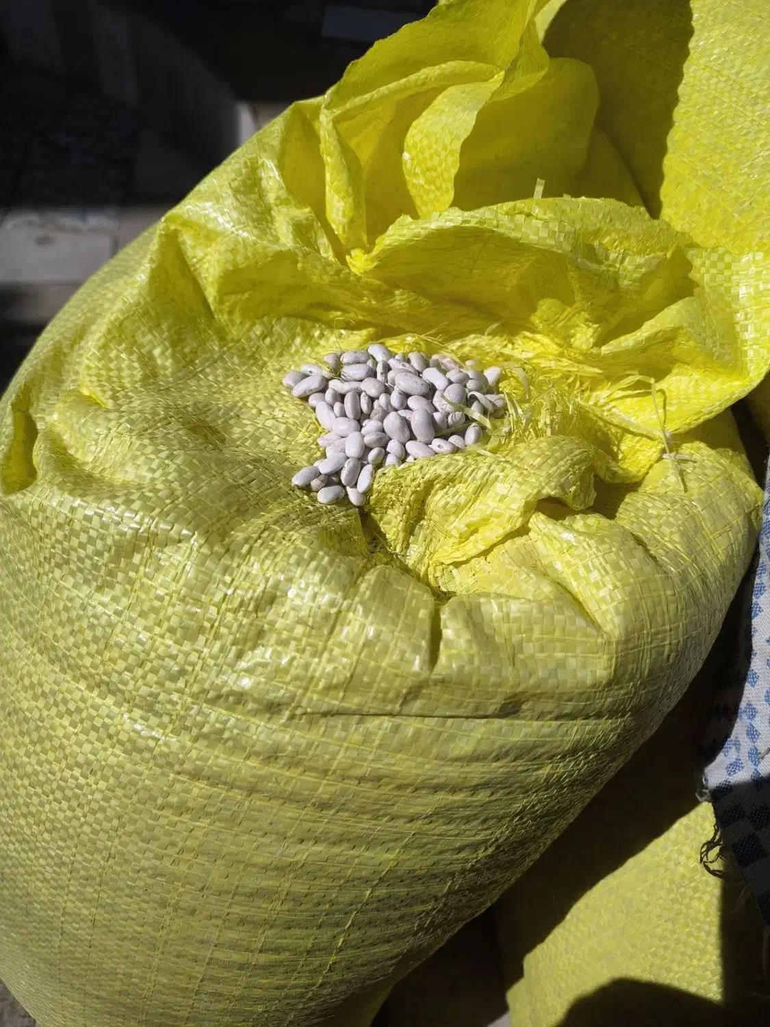 لوبیا سفید درجه یک ،بوجاری شده ،لیزر|خوردنی و آشامیدنی|نهاوند, |دیوار