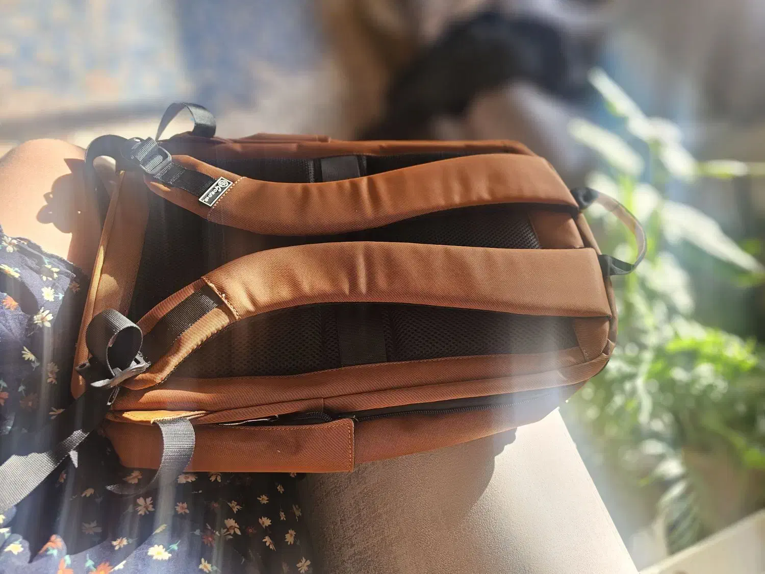 کوله جنس عالی و خارجی|کیف، کفش، کمربند|اصفهان, شهرک میلاد|دیوار