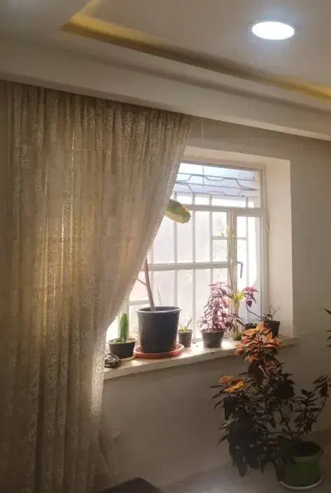 نیرو جهت کار|خدمات نظافت|مسجد سلیمان, |دیوار