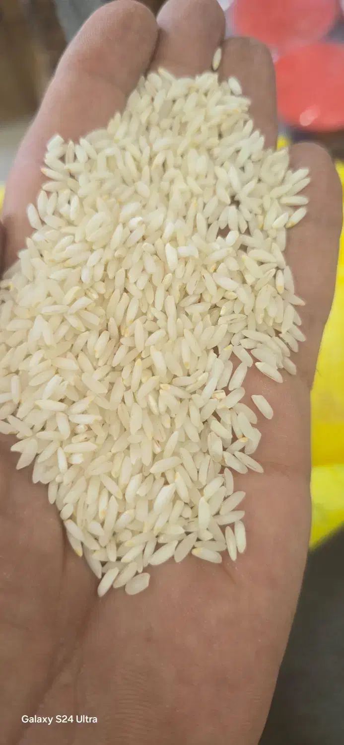 عنبربو محلی بالاترین کیفیت|خوردنی و آشامیدنی|بندر گناوه, |دیوار