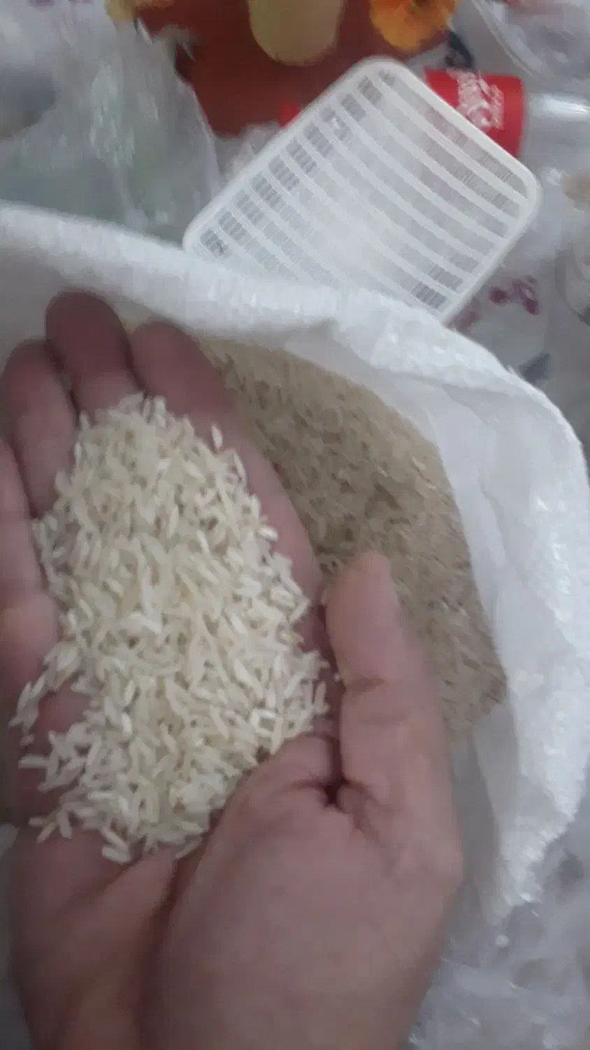 برنج طارم هاشمی|خوردنی و آشامیدنی|گرگان, |دیوار