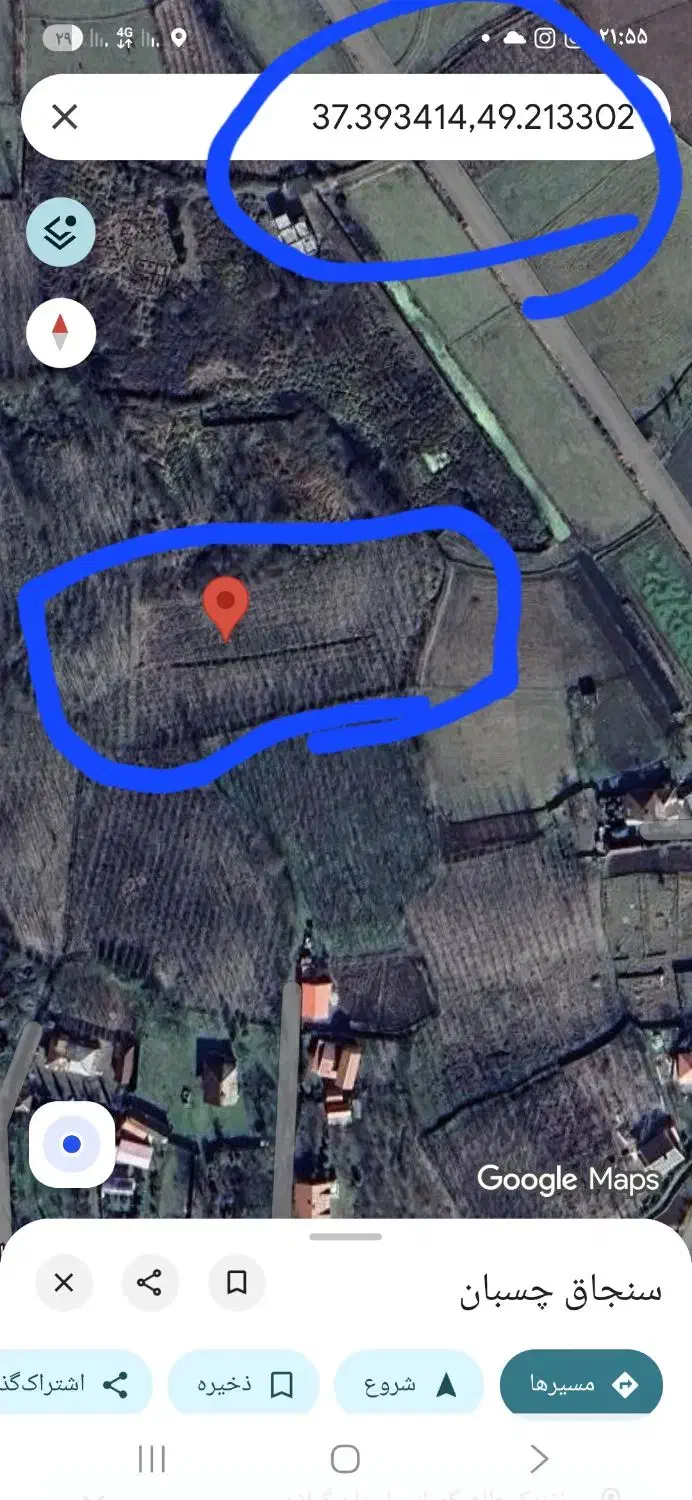 زمین صنوبرکاری مناسب برای مرغداری و گلخانه|فروش زمین و ملک کلنگی|طاهرگوراب, |دیوار