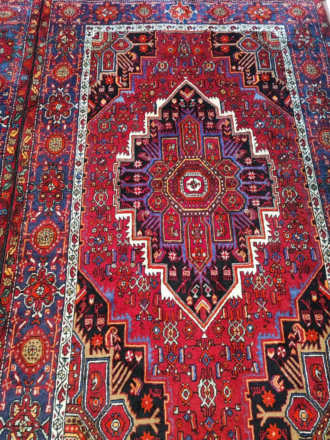 فرش دستبافت|فرش|زنجان, |دیوار