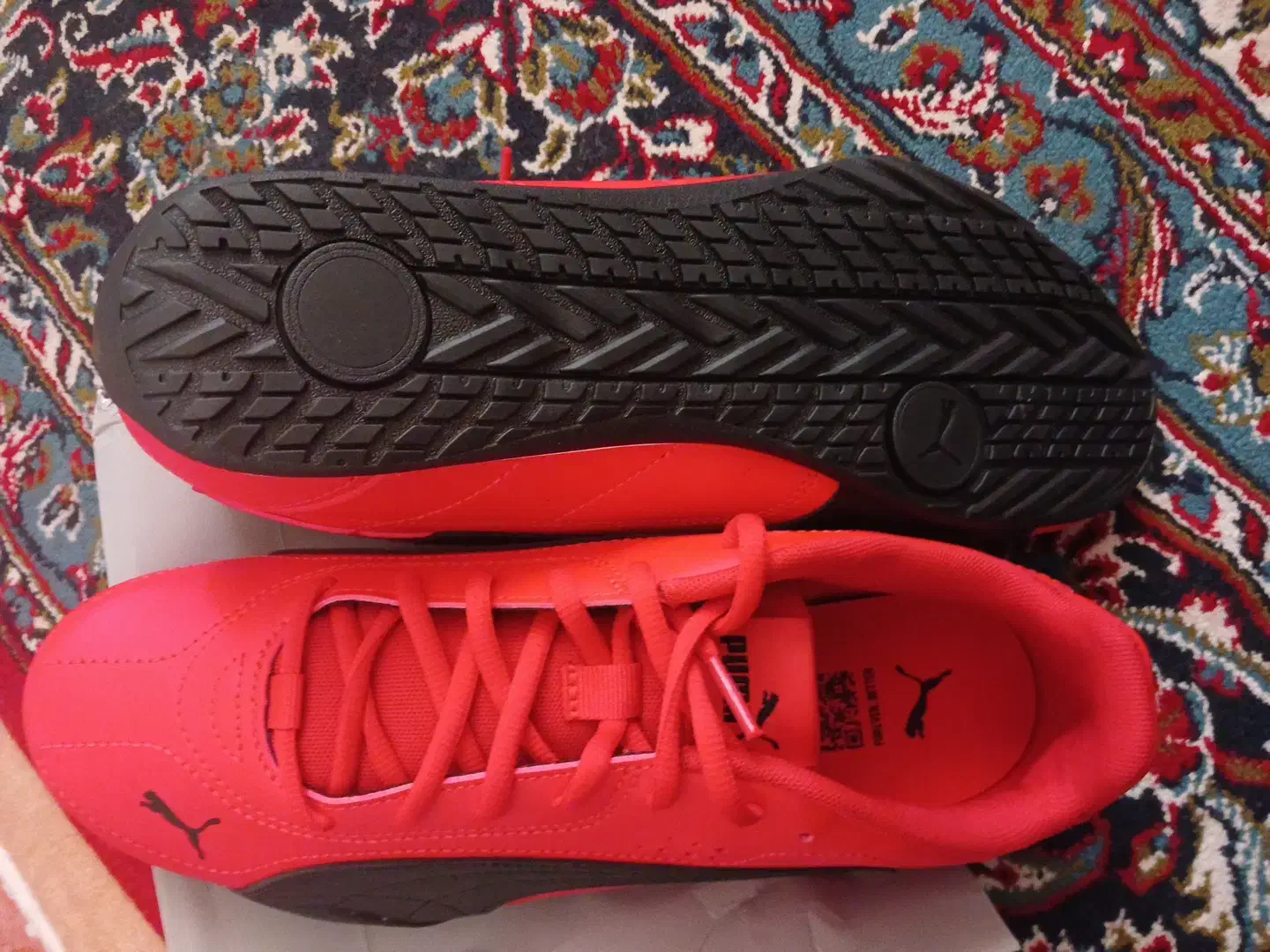 کفش سالنی|کیف، کفش، کمربند|قم, نیروگاه|دیوار