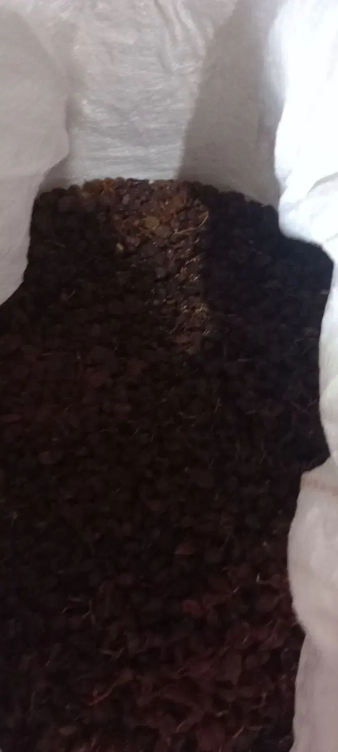 کشمش زاش|خوردنی و آشامیدنی|قره قوین, |دیوار