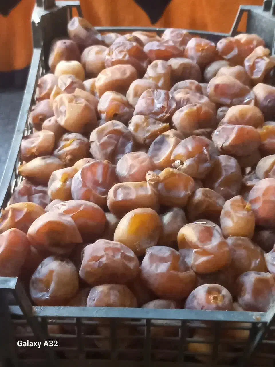 خرما برحی ابادان ۱۶۰|خوردنی و آشامیدنی|قم, شهرک مهدیه|دیوار