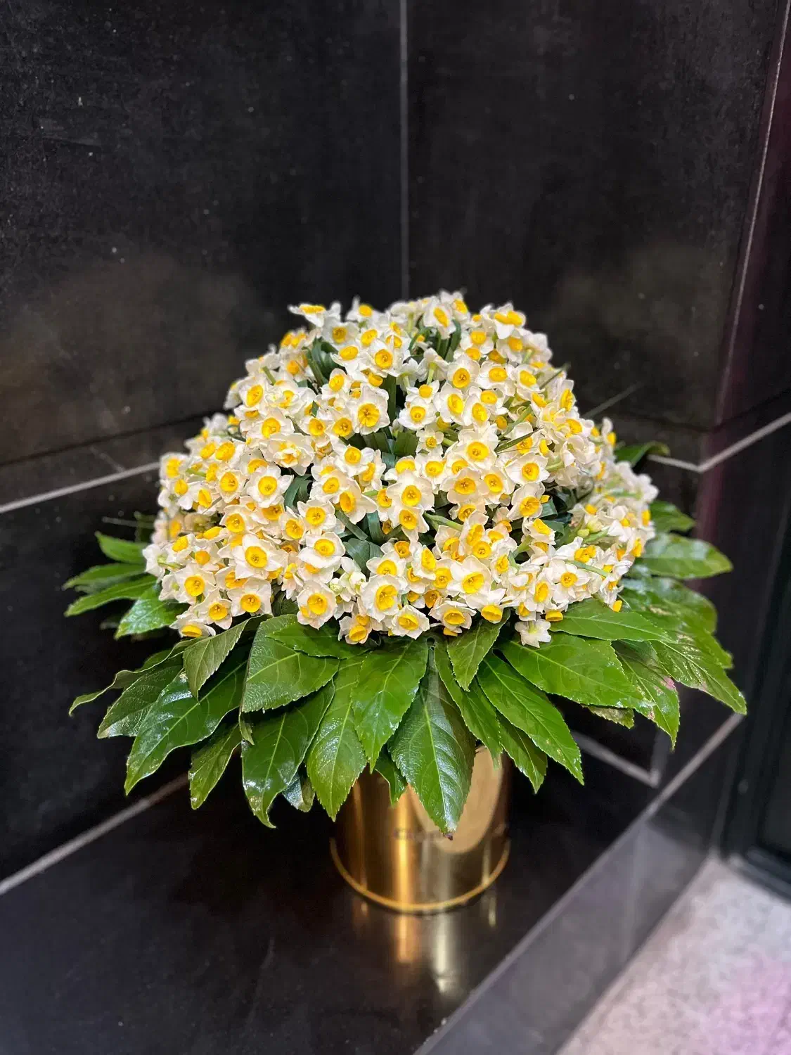 گل و گل ارایی|خدمات پذیرایی، مراسم|تهران, قیطریه|دیوار