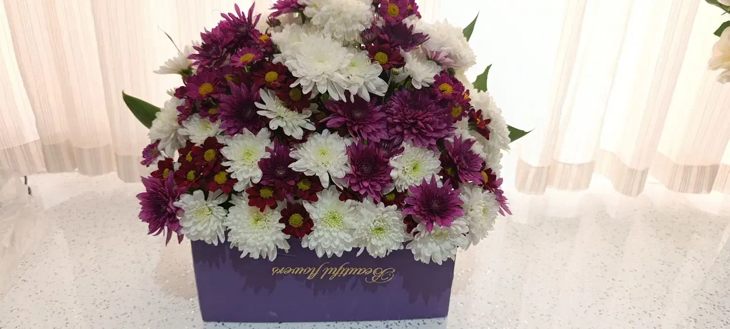 گل طبیعی|گل و گیاه طبیعی|قم, شهدا|دیوار