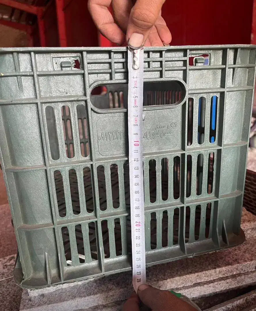 فروش سبد میوه در حد نو|فروشگاه و مغازه|بم, |دیوار