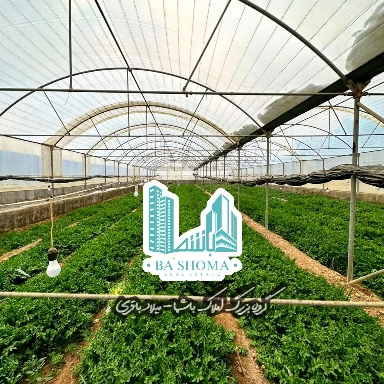 گلخانه/۴۰۰۰ متر/ویلا/سندتک برگ/فول امکانات|فروش دفتر صنعتی، کشاورزی، تجاری|قرچک, پارس سرام|دیوار