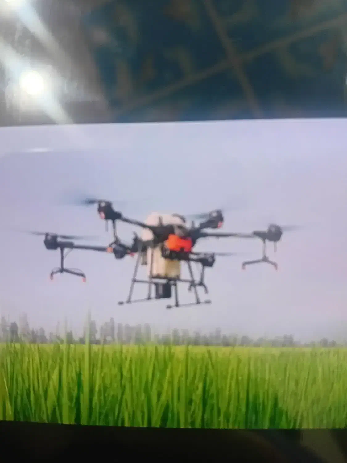 پهپاد سم پاشی|خدمات باغبانی و درختکاری|اهواز, امانیه|دیوار