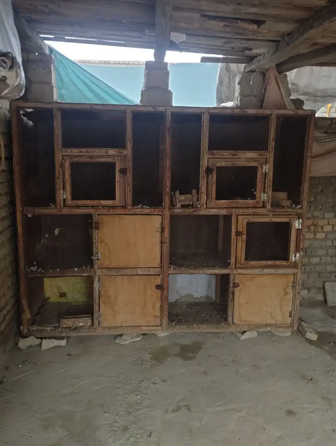 چیز مفت نیست نگرد نیست|لوازم جانبی حیوانات|گنبد کاووس, |دیوار