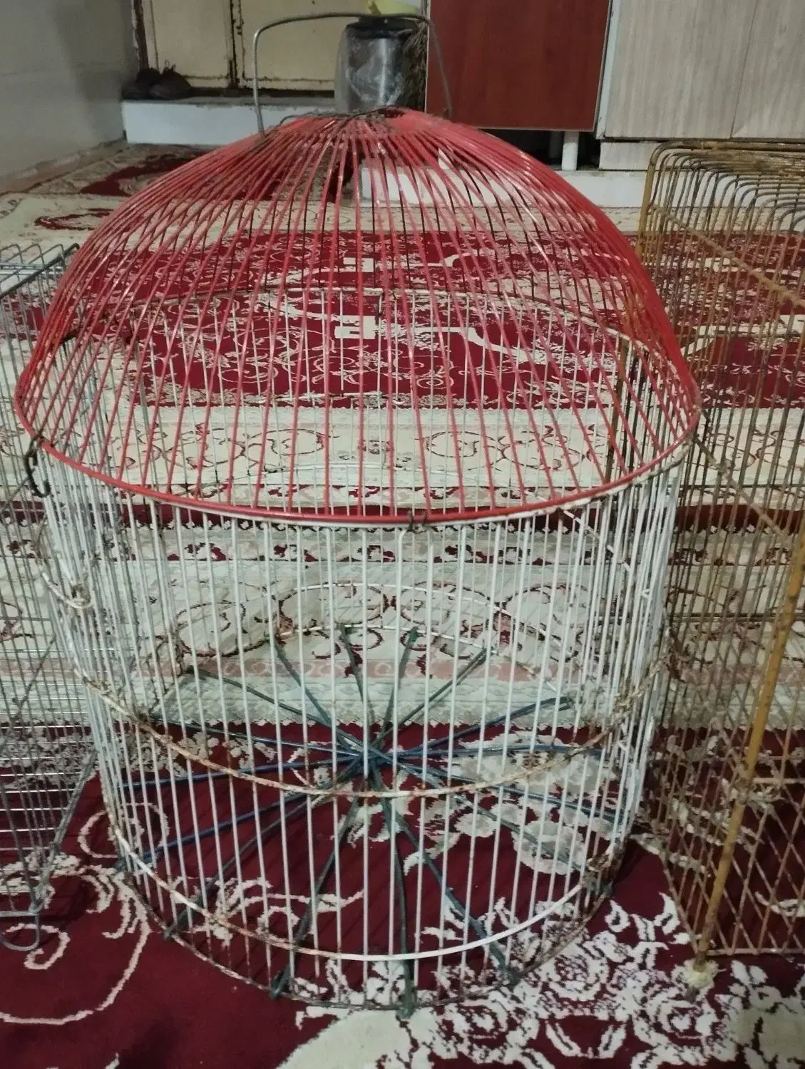 قفس|لوازم جانبی حیوانات|بندرعباس, |دیوار