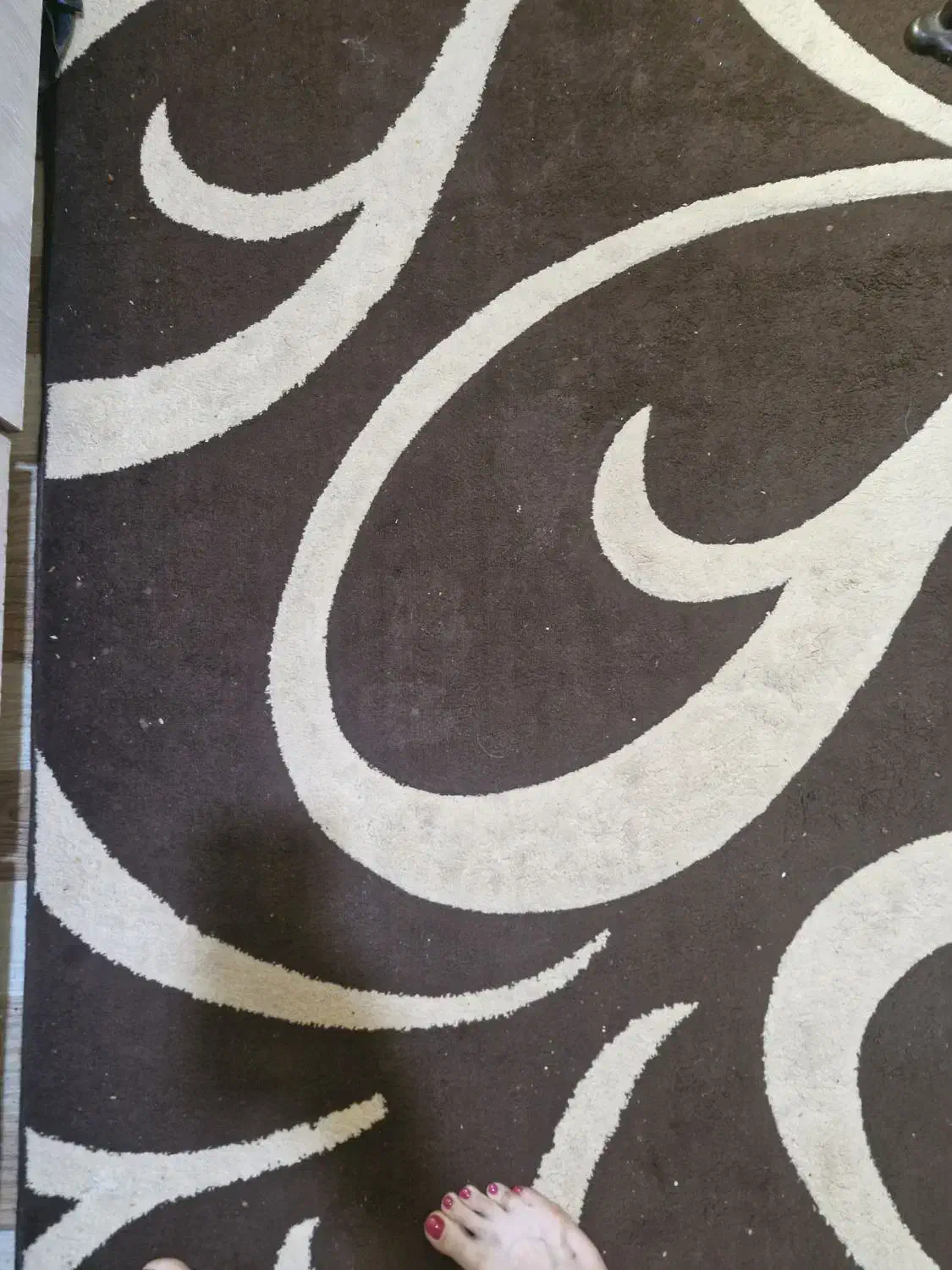 فروش فرش۴ متری|فرش|رشت, فلسطین|دیوار